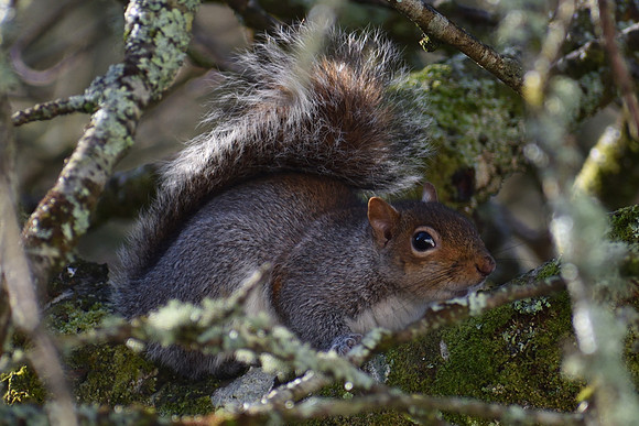 DSC_0308_00001