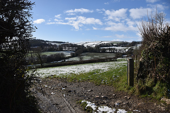 DSC_0207