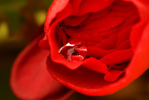 DSC_2472